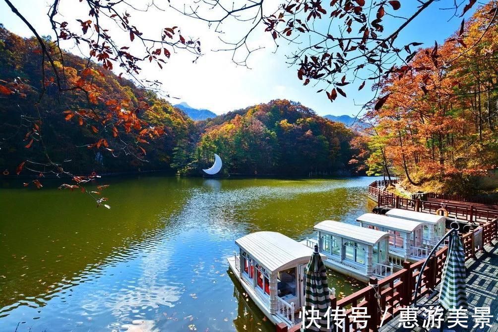 红叶|河南秋季旅游景点推荐 白云山风景区旅游攻略 低音号免费语音导游