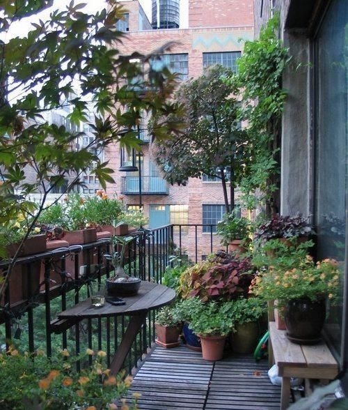 阳台上|3步打造“阳台花园”,只要有阳台,就可以打造漂亮的阳台小花园