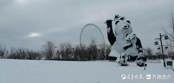 中年|泰山花海变雪中游乐园，踏雪寻梅正合时宜