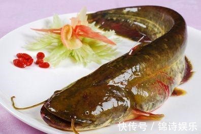 生鱼片|孕期吃鱼“有讲究”,这3种鱼最好少吃或者不吃,对胎儿有危害