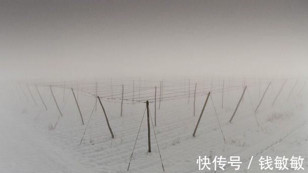 寒冬$从古诗词走来的十二月,冰天雪地,天寒地冻