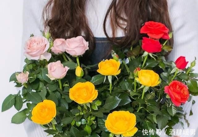 5种“吉利花”,冬天是“难关”,再漂亮也别买,买了也是浪费钱!