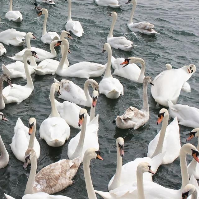 老爸Tom|设计师老爸将孩子的画P图再现,鼓励孩子继续发挥创造力