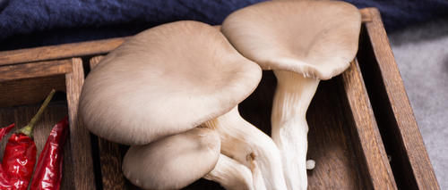 经常吃这道菜,越吃越健康,你知道是哪种菜吗