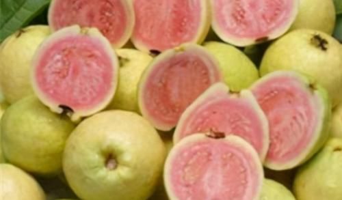 陈医师|想长寿要先会吃,3种食物不可少,补充营养,提高免疫力!