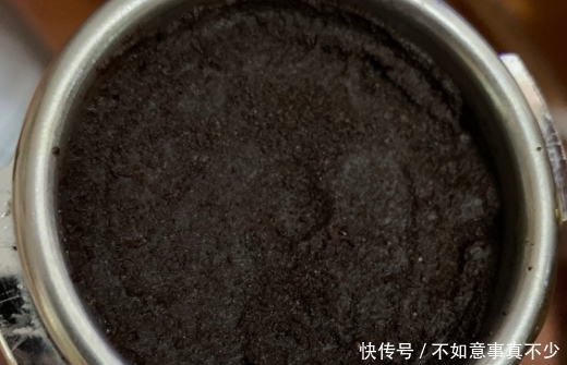 过期咖啡豆当肥料