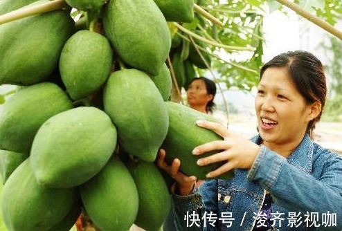 湿气|最适合晚上吃的4大水果,尤其是第2种,还能赶跑湿气