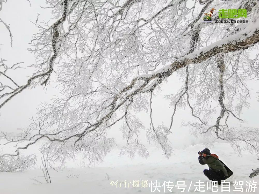 小城|中国最具“泡菜味”的边境小城，不输釜山，美过首尔