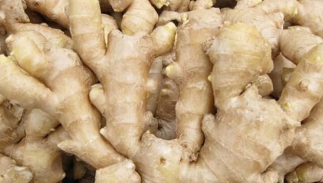 生姜别再放冰箱了,教你一个小妙招,能保存半年,怎么放都不干