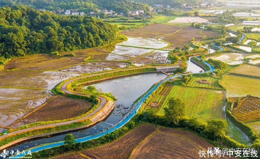 芜湖|安徽芜湖：生态好风光 骑行田野间