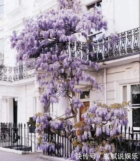 这9种花园，随便1个都美上天了，有一种这辈子就满足了！