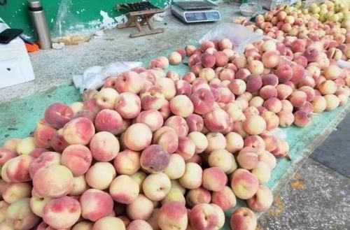  价格|50岁大叔街头卖“它”，10元8斤，无人识货，我看一眼全买了