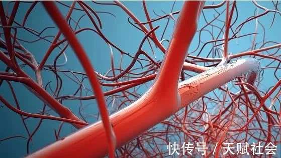 心脑血管|男性每天喝杯“白酒”,不出半月,3件好事可能会慢慢“靠近你”