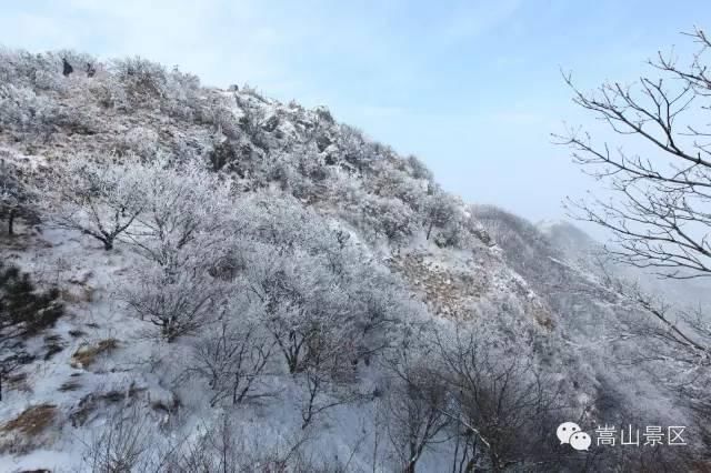 迎来|嵩山迎来冬日里的雪