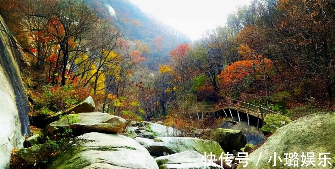 坐标|自驾游河南，赏遍中原红叶，趁免票，赶紧去这6个最美景区