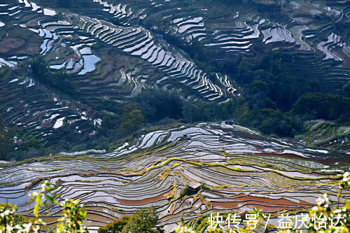 景观台|元阳坝达梯田景区，最佳日落观景点，可惜运气差了一点点