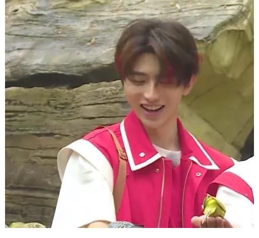 蔡徐坤|绿水青山就是金山银山 跟随蔡徐坤一起走进中国美丽乡村