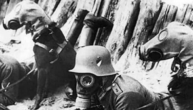 牺牲|二战中,德军为何宁可牺牲也不用化学武器?其实希特勒并没那么高尚