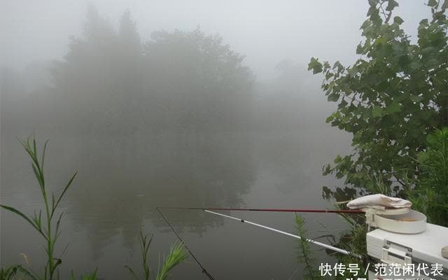 春季钓鲫鱼，钓浅水要看准时机，这些天气出钓，“爆护”已成定局