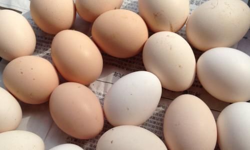 药用价值|早晨起来吃个鸡蛋,身体不会差,但需注意3不,别为家人健康买单