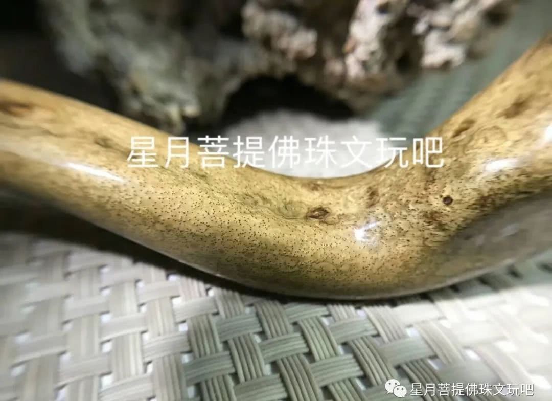 假货|假货横行，网上搜索全是假！玩家盘了一年金丝柳才发现居然是假！