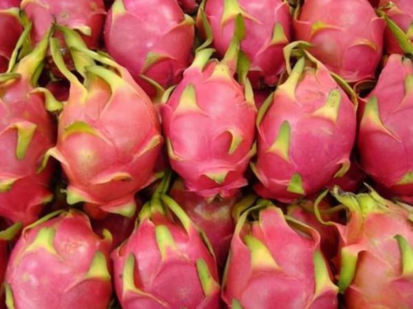 大年初一，不管有钱没钱，摆上4种干果，寓意牛年大吉，好事连连