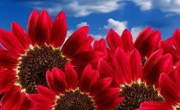 黄褐斑|早推腹、午敲带脉、晚泡脚,搞定浮肿眼袋黄褐斑,根除妇科病!