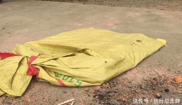 为了养兰花，这哥们儿下了大招了