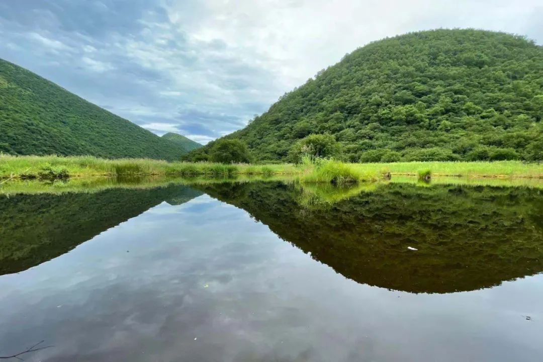 巫山县|神农架有个“养在深闺”的“邻居”，纳入世遗了！