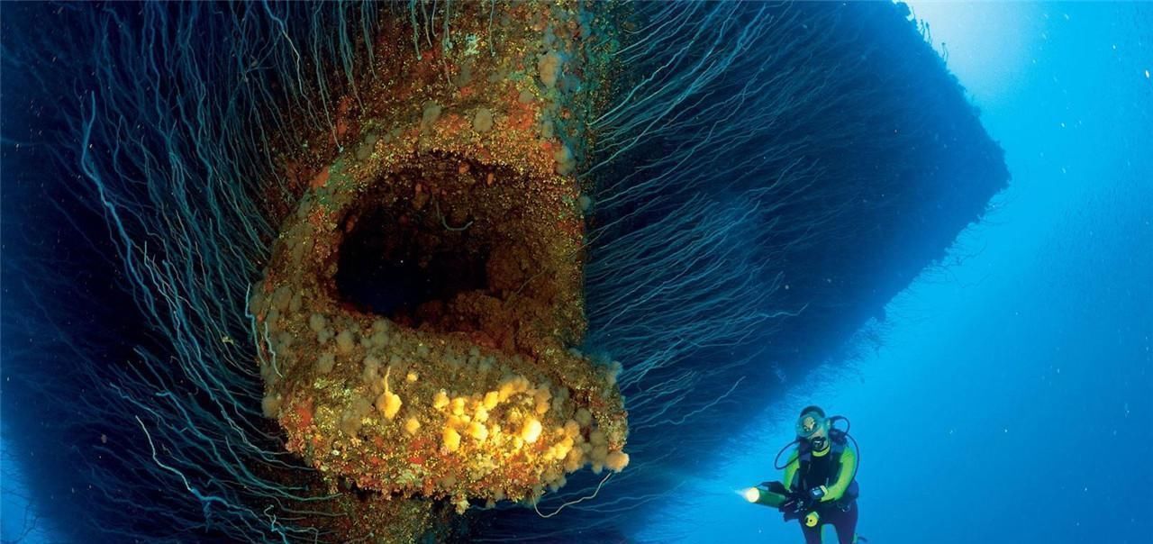 巨物恐惧症 “木星恐惧症”是什么多数人难以承受,这些图你能坚持看完吗