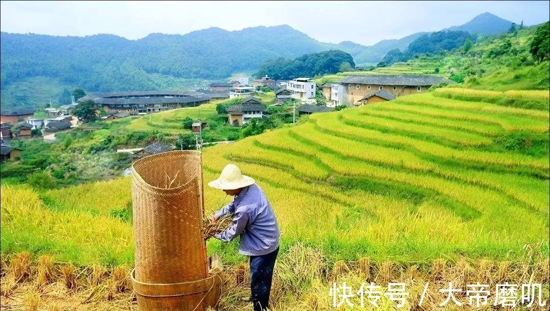 为什么资源丰富,土地辽阔的非洲,无法孕育出优秀的文明_