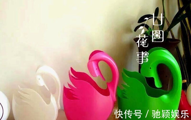 7种“废料”做花盆,不花一分钱,花盆用不完,比买的还精致