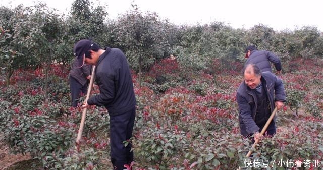 之人|“有福之人六八月,无福之人正腊月”是什么意思呢有道理吗