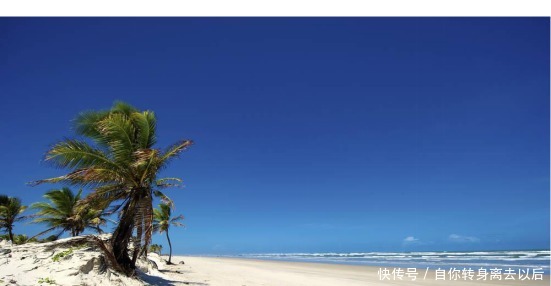 精明的最高境界是笨拙!