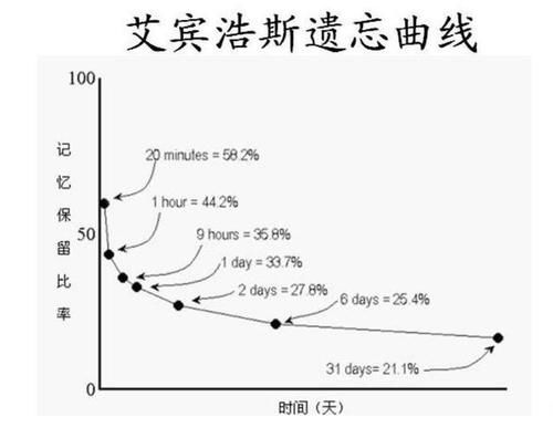 遗忘|孩子学习差家长总说记性差？真相却是家长''笨''