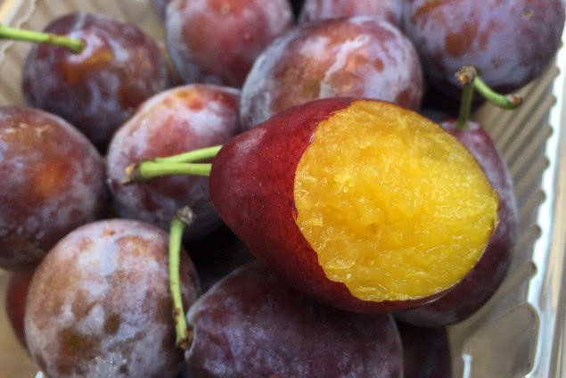 减肥|“天然泻药”终于被发现，每天吃一点，排出黑臭宿便，减掉大肚腩