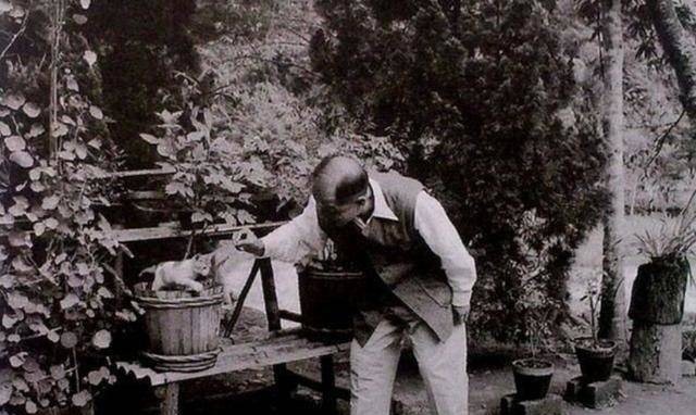 张学良|九一八事变，张学良为何一枪不发弃守东北？晚年他道出隐情