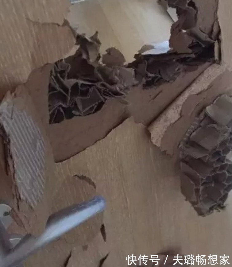 何雯娜|我扛过了买房的苦,却因为装修崩溃了……