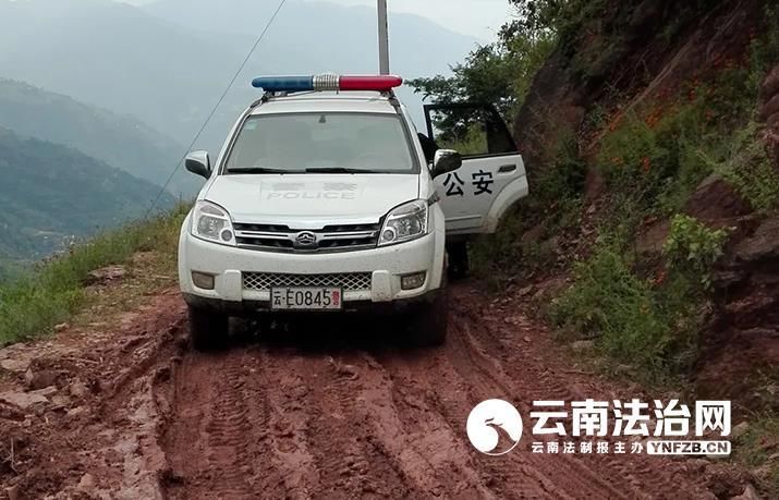 大山|大姚森警：用脚步丈量大山 做生物多样性的守护人