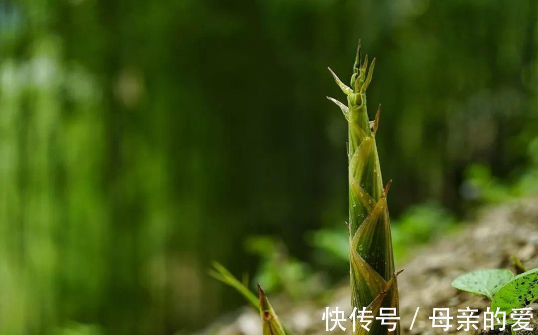 果蔬菜|秋季到了,多吃几种好食物,养肝排毒,抗衰护肤,吃了不显老