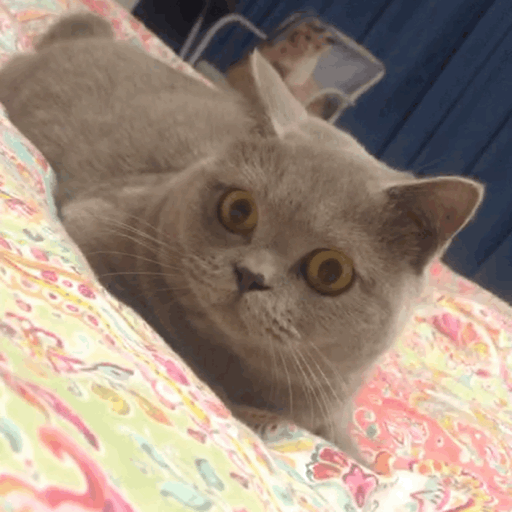 爱豆们竞当医美达人？男性适合的轻医美项目top5合集