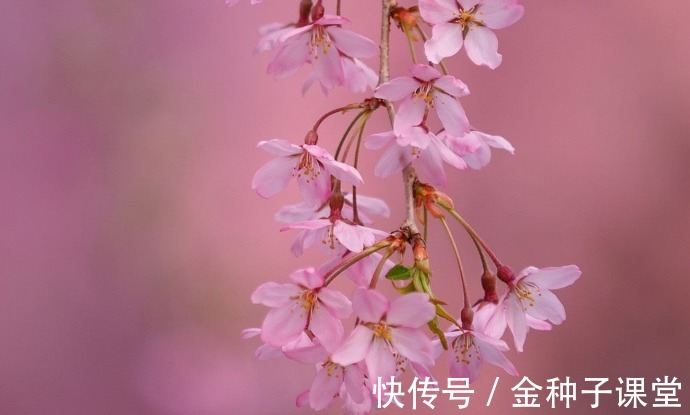 社恐人士|客服专员，适合社恐人士在迷茫期的工作选择