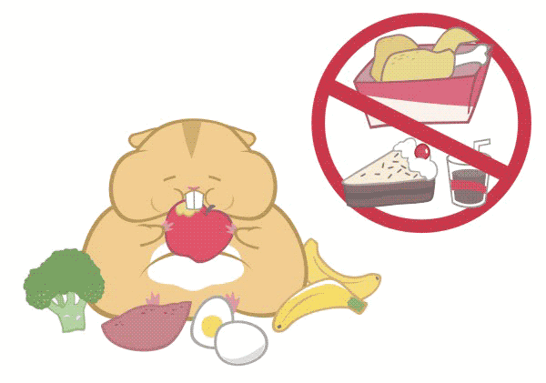 营养专家:早餐这么吃,孩子长高又聪明