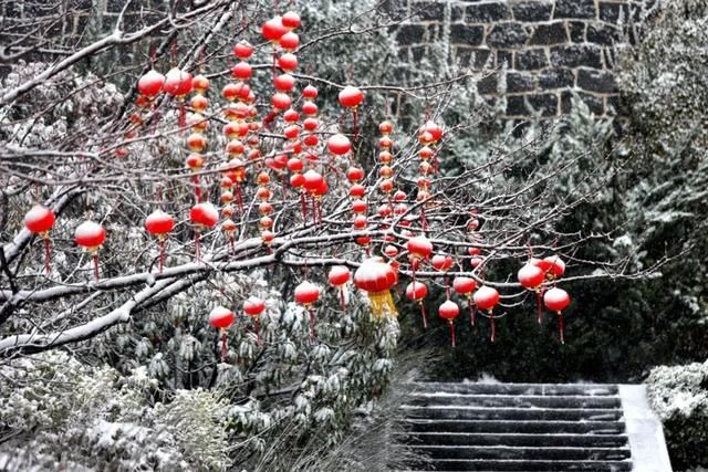 油菜花|春雪漫卷，蓬莱阁的美藏不住了！