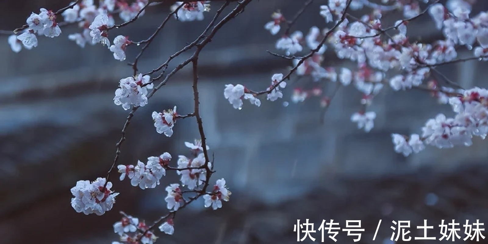 游春!苏轼《行香子》:看似处处写景,实则曲笔写情,思念妻小跃然纸上