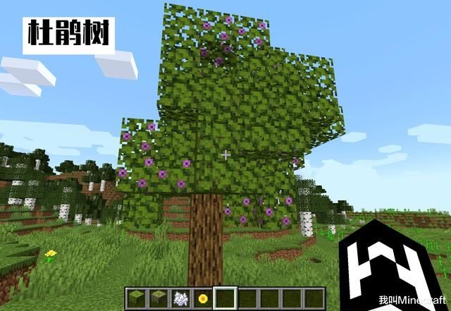 Minecraft 我的世界 13个关于1 17的小变化 却可能对未来mc产生巨大影响 二 Minecraft 游戏 精品游戏指南