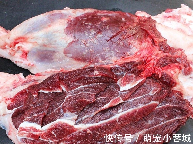 买牛肉，“行家”认准这4块买，新鲜细嫩口感好，商家忽悠不到你