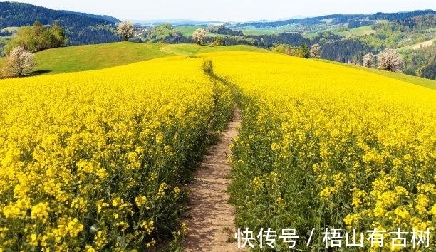 金牛座|近期内,为爱付出,旧爱转身,牵挂旧爱,重续前缘,幸福重启