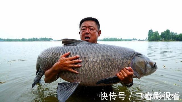 要鱼还是要命？一天内三名钓友溺亡！该背锅的不是“鱼竿和鱼”