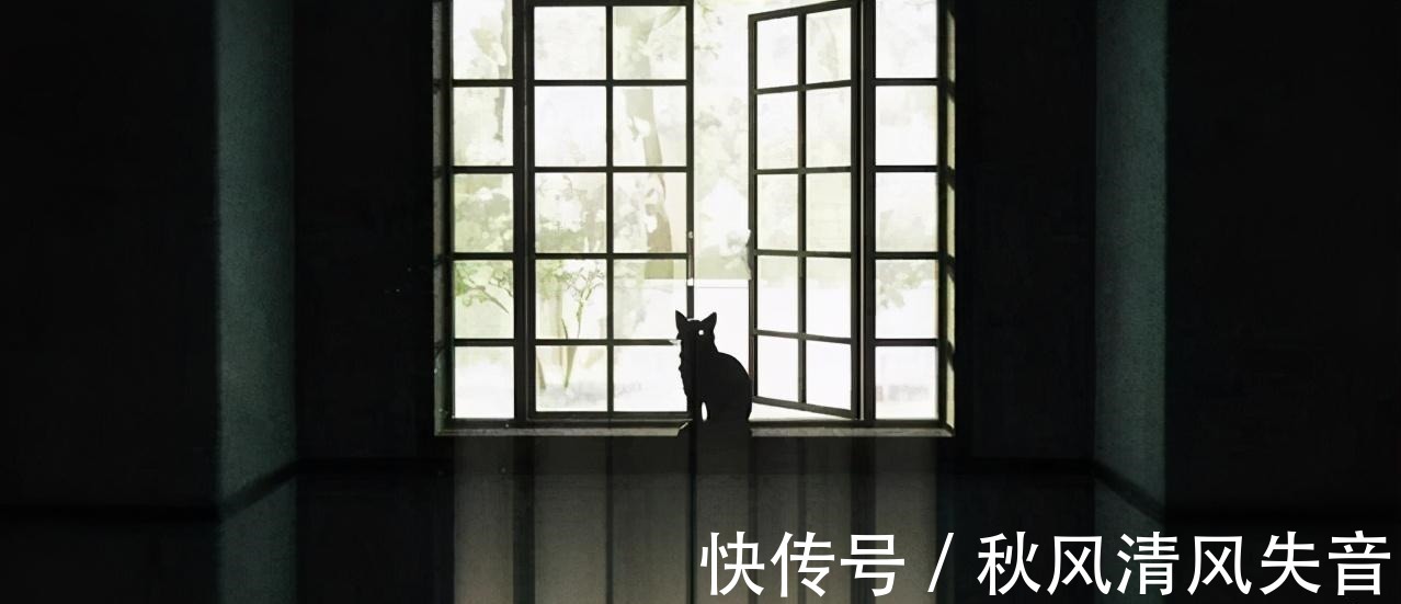 娜娜明|《咒术回战》新op暗藏玄机,一切可能是轮回,内鬼早就被剧透